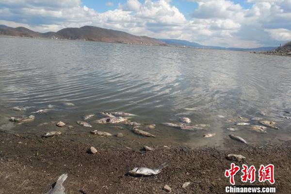 Duckworth: Civilian-led Military Is Important