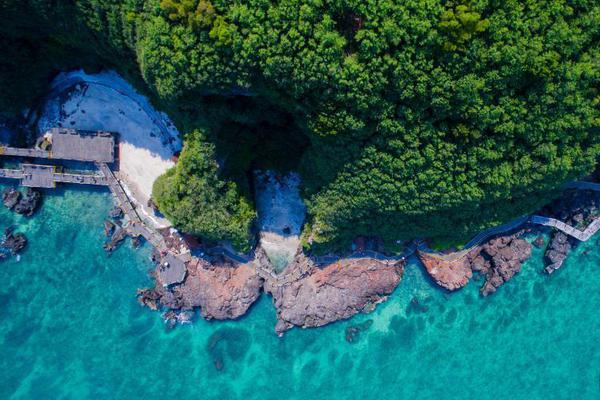 Animated Comedy ‘Paws of Fury’ Features Voices of Takei, Yeoh