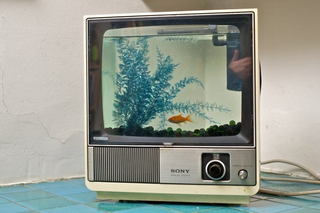 South Bay Has Mother and Daughter Councilmembers