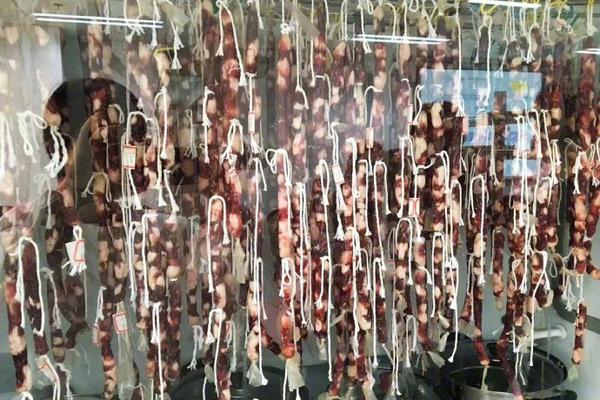 Wada Drama Screens Sunday at the Aratani