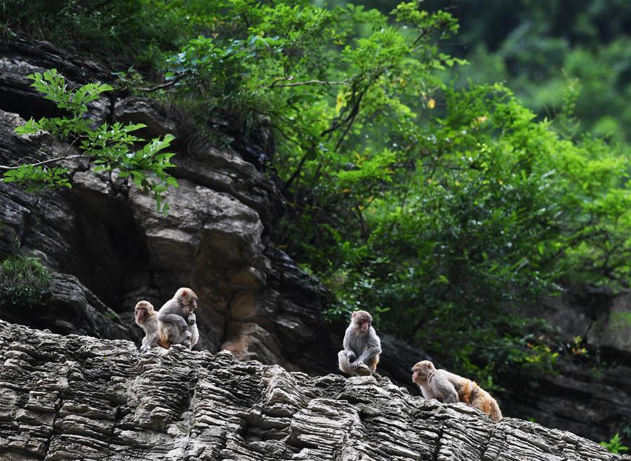 BlackRock’s Bitcoin ETF crosses 700,000 BTC, surpasses $75B in assets