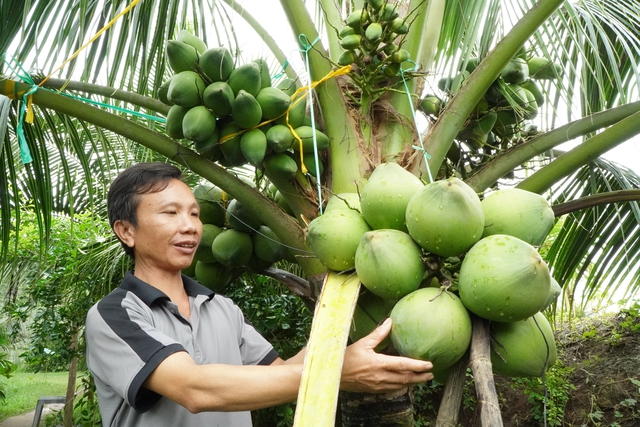 SushiSwap (SUSHI) price jumps after CTO quits citing infighting