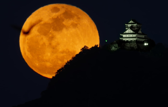 Avalanche completes repurchase of 1.97M AVAX tokens from LFG