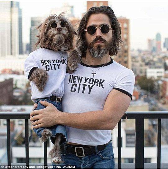 Technical analysis: Polkadot, ChainLink and Dogecoin