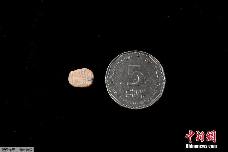 DigiToads utility sets itself apart from Shiba Inu and Pepe as meme coins demand grows