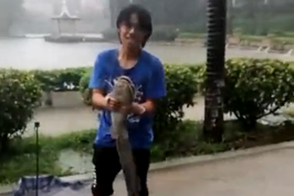 23 July 2025 BNB hits a new ATH of $804. How high can it go? Check forecast