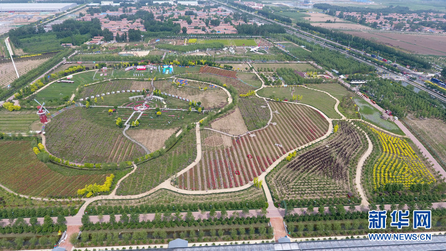 AAVE makes weekly gains of 37% ahead of Aave Pro launch