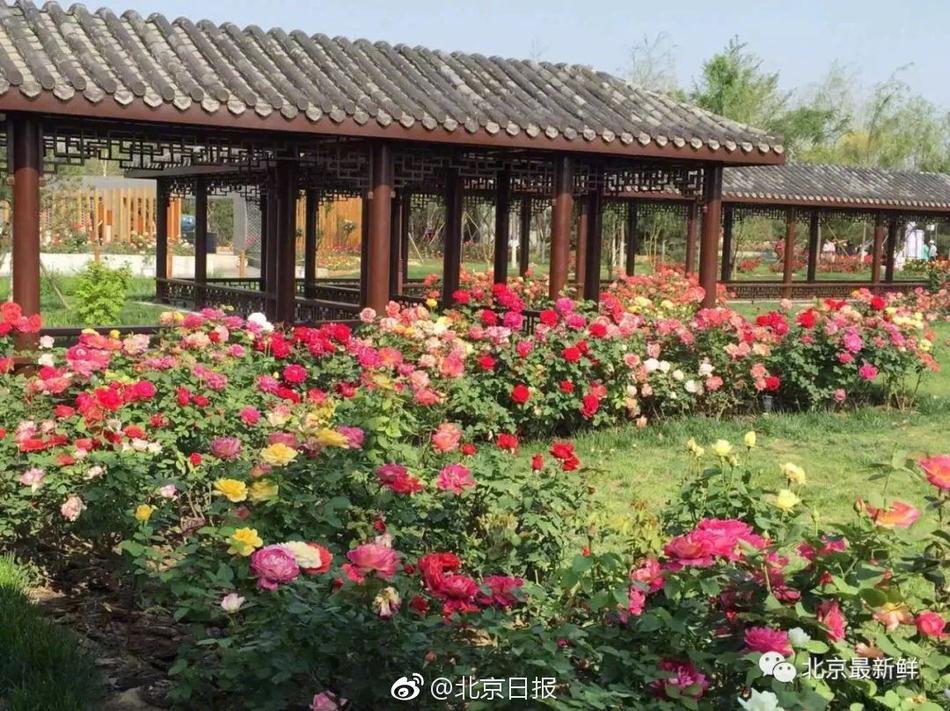 Tezos price surges 20% to one-month high on Etherlink and RWA momentum