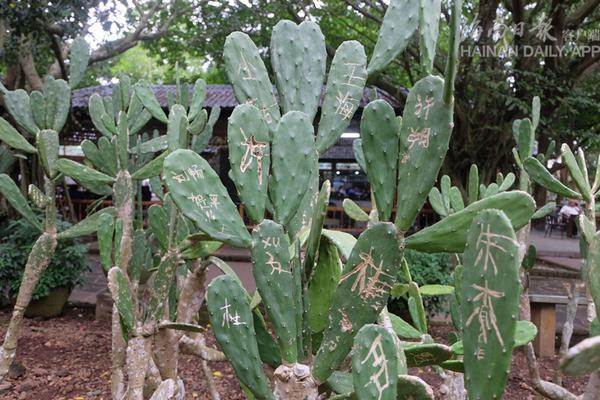 1 May 2024 This new meme coin presses on as most cryptocurrencies slide after CZ sentencing