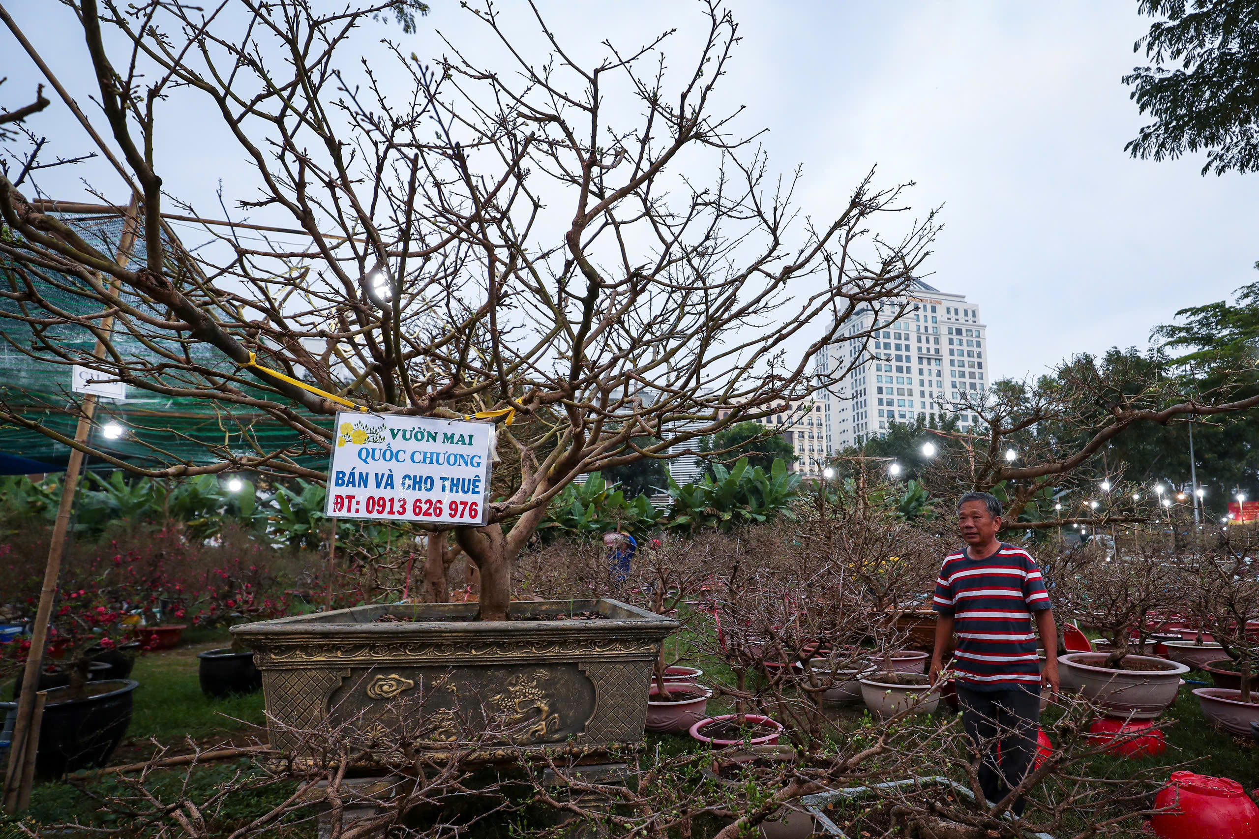 Avalanche unlocks $103M AVAX this week: What’s the price outlook?