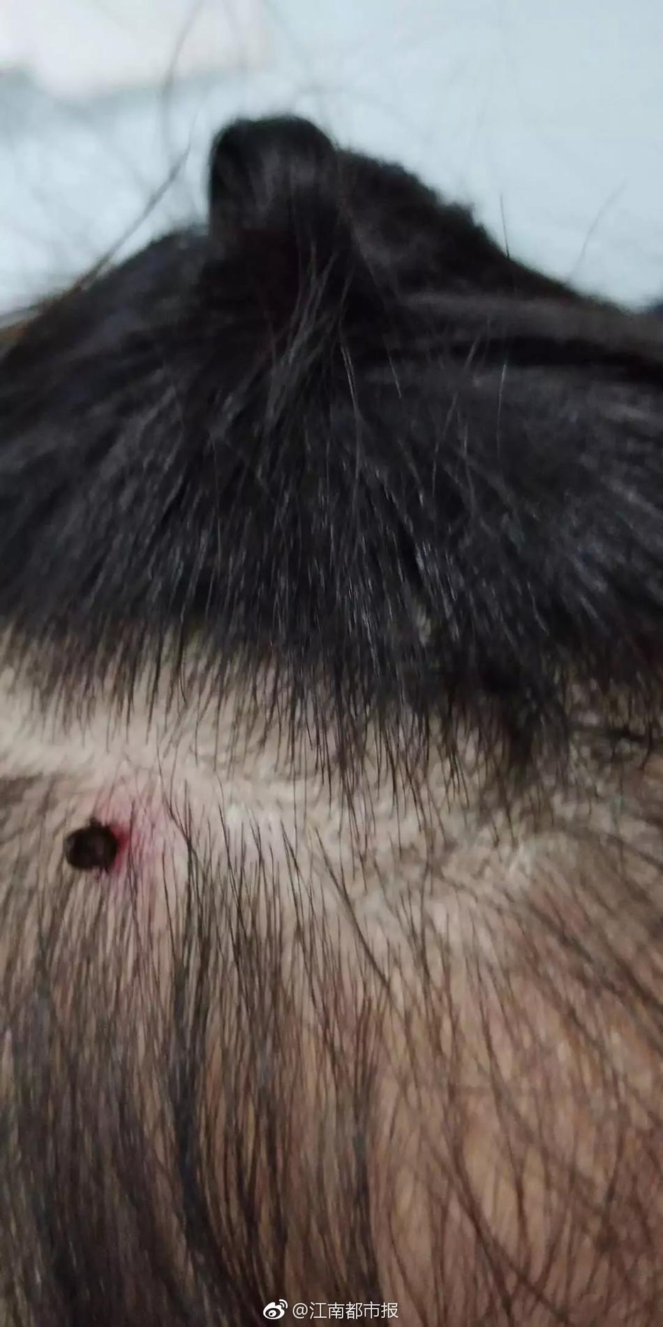 Report: Short Bitcoin ETF attracting a lot of attention