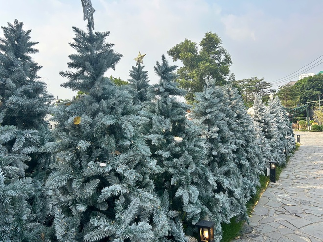 Algorand boosts network speed with key protocol upgrade