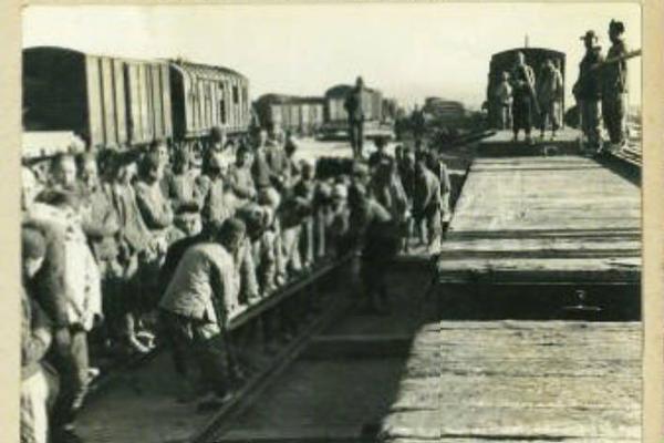 Optimism opens Retro Funding 5 offering 8 million OP