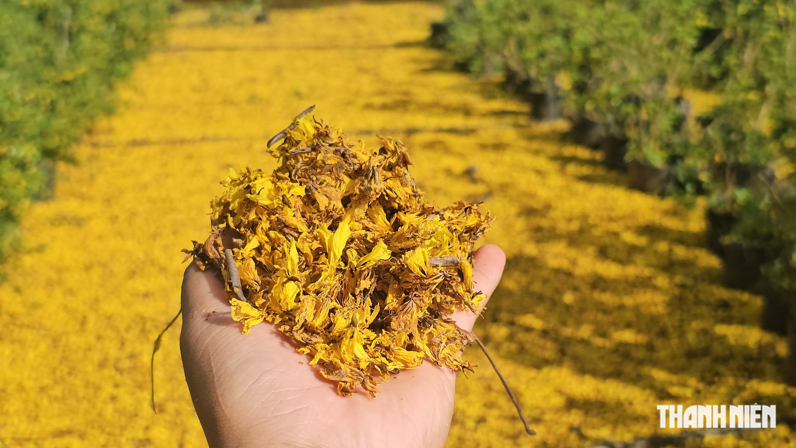 LAist Senior Editor Kiriyama Let Go Due to Budget Cuts