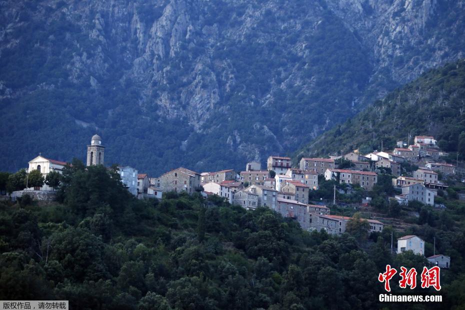 MIR Price Prediction as the Mirror Protocol Rebounds