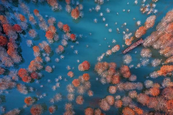 Kurohara, Kuroda to Be Inducted into Social Work Hall of Distinction