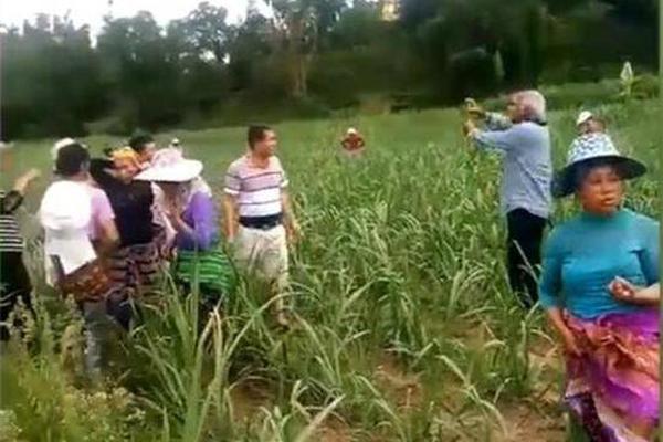 Jay Leno Apologizes to Asian American Community for Jokes About Eating Dogs/Cats