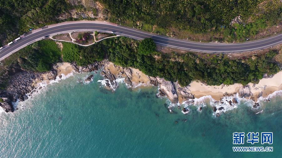 Best altcoin to buy now? BPENGU builds on BTC’s momentum, raises over $1.5M