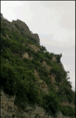 AXS up by 2% despite the poor market performance