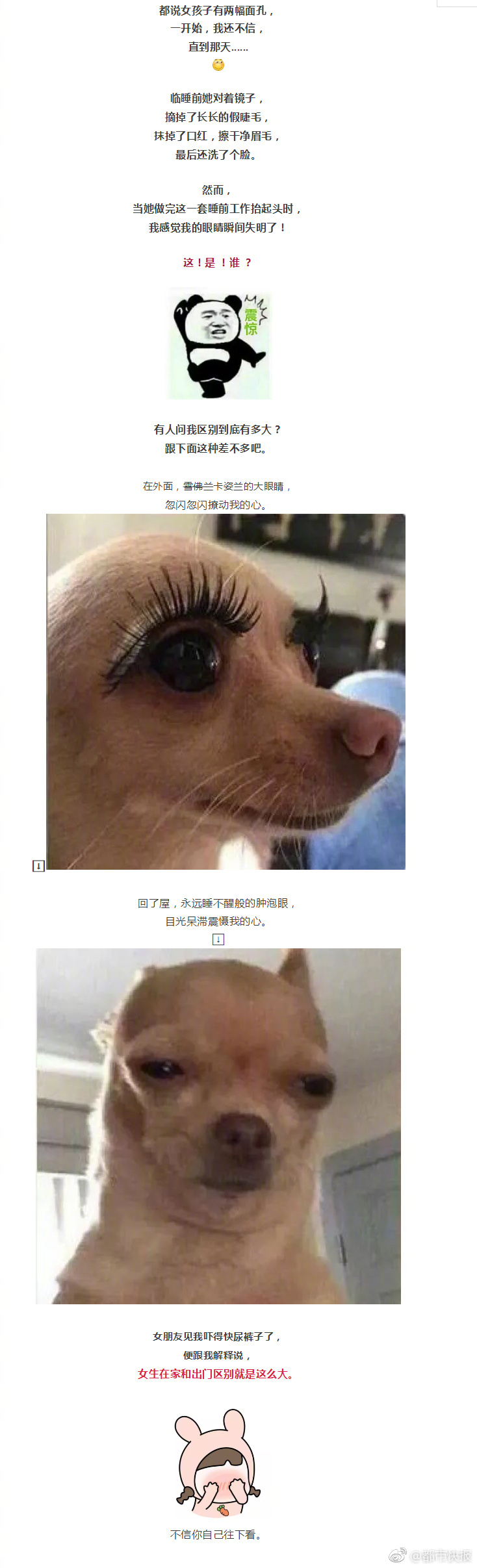 OC Girl Scout Earns $5,000 National Scholarship for AAPI Ethnic Studies Project