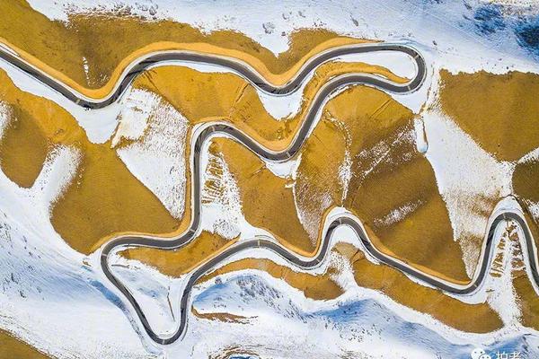 Where to buy MaticPad: Accelerator Platform MATPAD rises by 200%