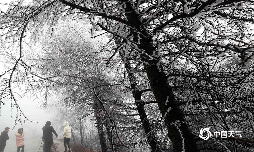 OC Japan Fair This Weekend in Costa Mesa