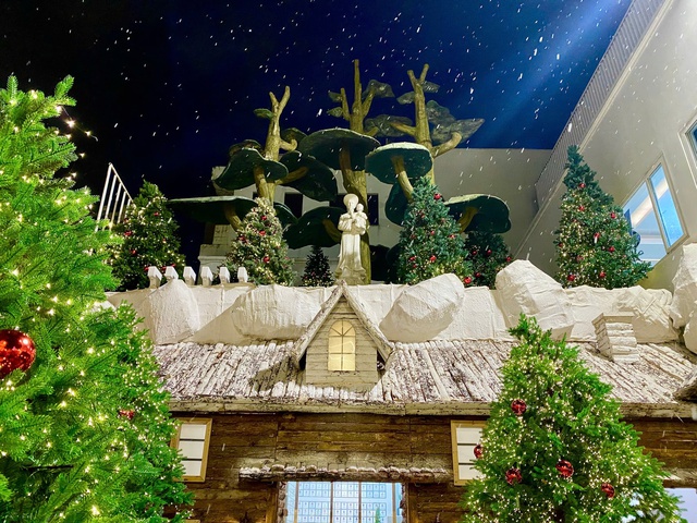 Bybit suspends USD payments via bank transfer