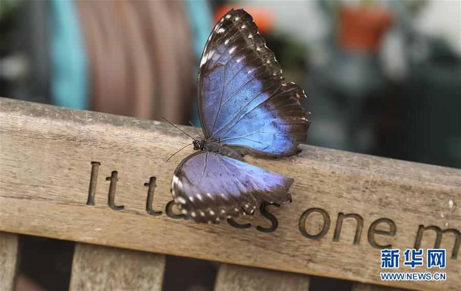 19 September 2025 Dogecoin and XRP ETFs draw massive volume on first day of trading