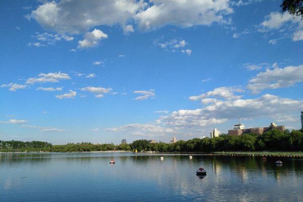 Tezos bullish as XTZ bounces off 50-DMA to recover above $3.00