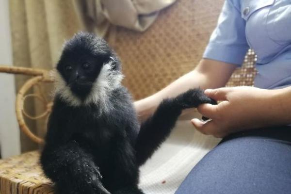 SEC sues BitClout founder Nader Al-Naji with fraud