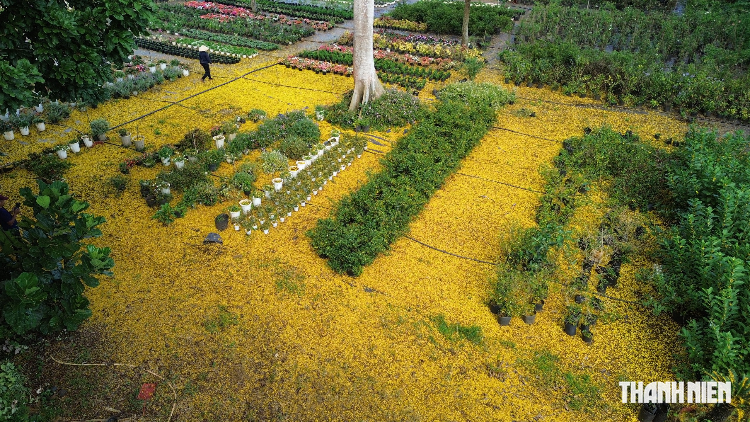 Aussie aquaculture farm’s ipo now accepts tether