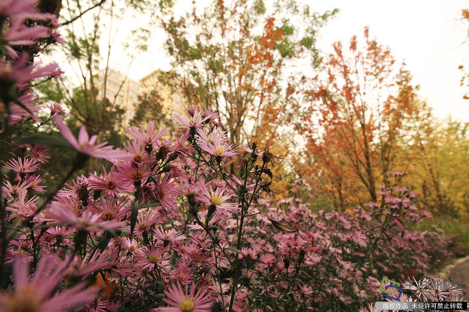 Ethereum (ETH) falls below $2500 – What to expect next