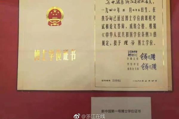 Polygon price rallies amid zero-knowledge announcement