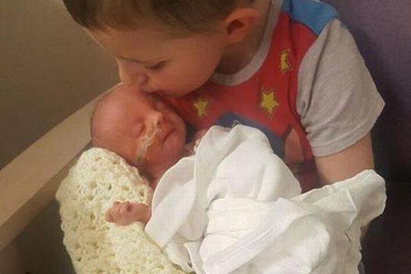 Altcoins today: Solana and Monero at key price levels amid market cooldown