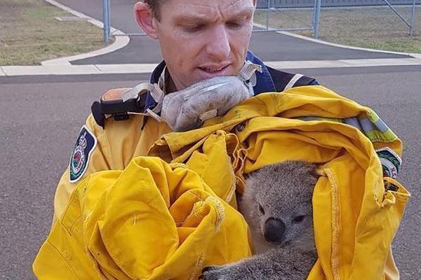 MOVE token plunges to all-time low after Coinbase delisting and market-making controversy