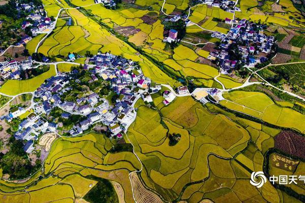 Bitcoin has shed 12% in seven days: is the Russia-Ukraine crisis a factor?