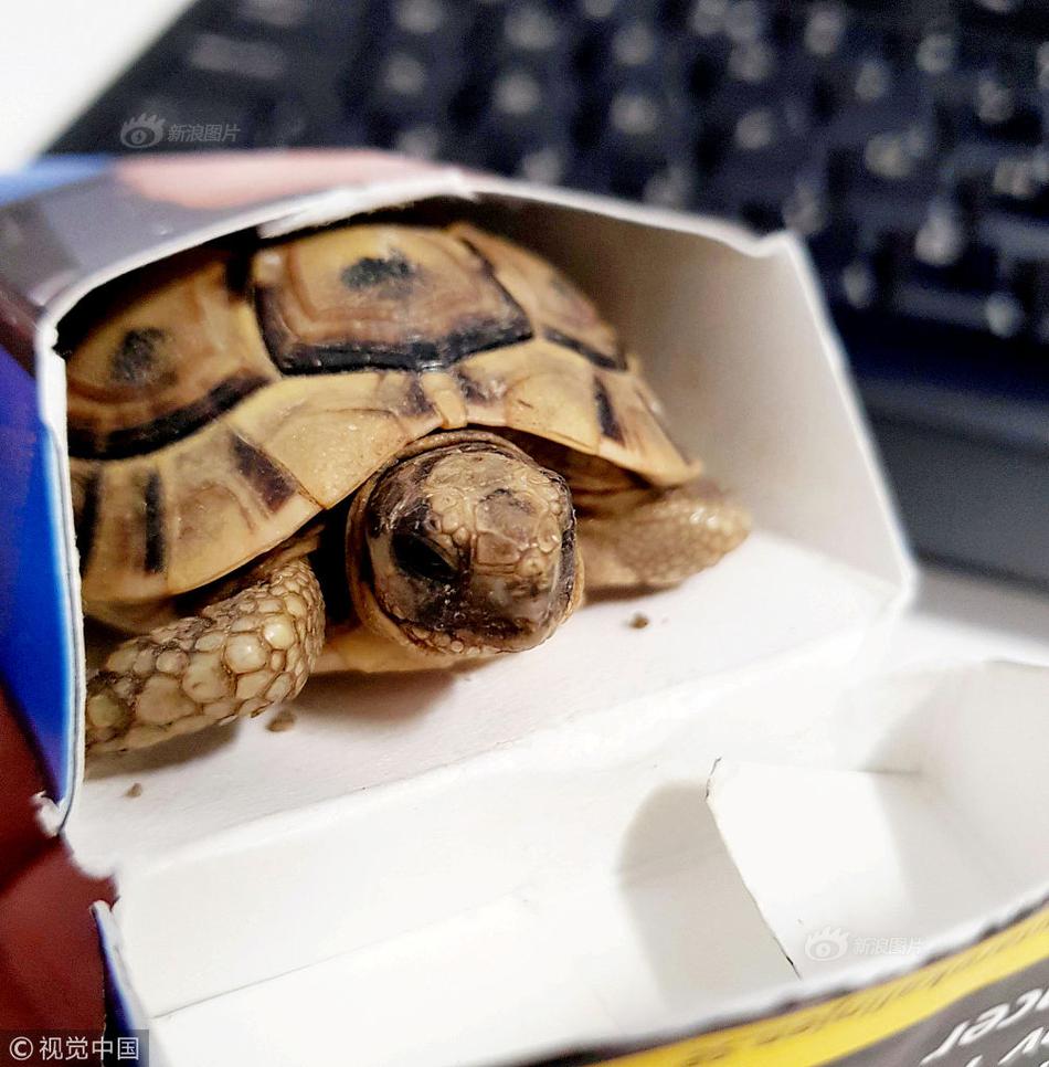 JPMorgan launches its own stablecoin