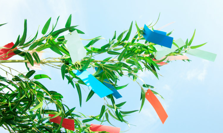 14 Popular 'Healthy' Habits From 2025 That Aren't Actually Healthy