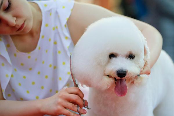 Weaving the Bonds of Dance and Community