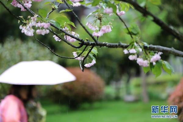 Komodo tanks 25% after Binance announces delisting