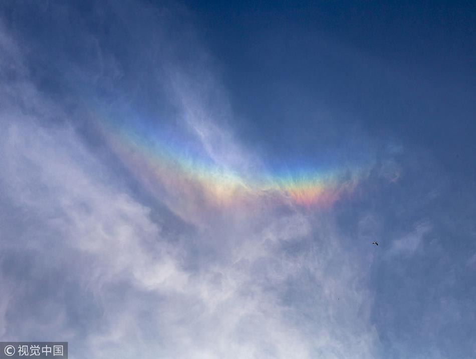 Trump Grants Clemency To Private Equity Executive Who Defrauded Thousands