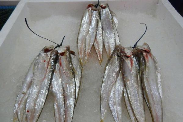 18 July 2024 Mark Cuban: Inflationary Pressure Could See Bitcoin Become Global Reserve