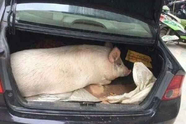 Cocaine, Bribes And Murder: Inside The Accusations Against The Drug Lord Trump Just Pardoned