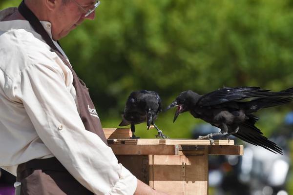 Bitcoin ETFs see first-ever outflow of $751 million as Ethereum funds gain $3.9 billion