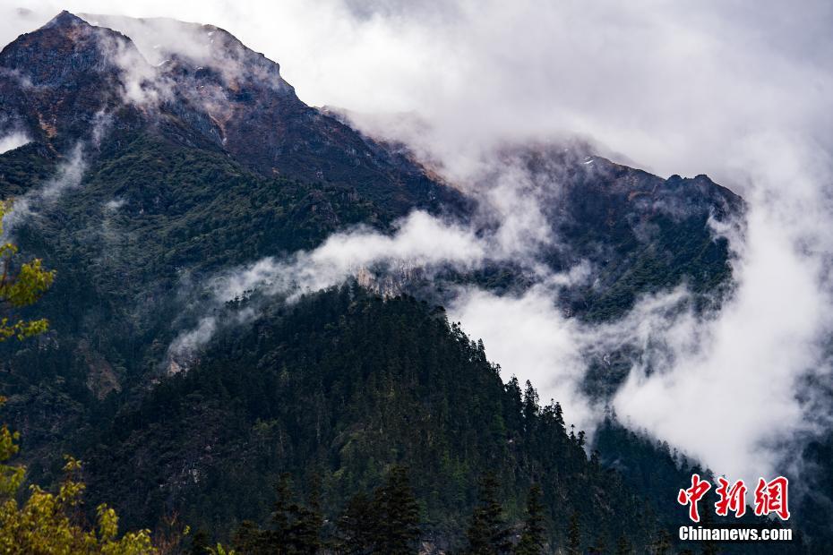 $1M in 24 hours: why BPENGU is the new meme coin grabbing eyeballs