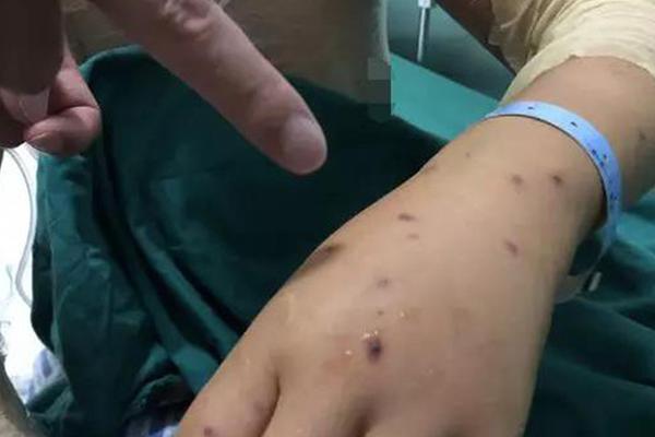 King’s Hawaiian to Donate to Maui Relief