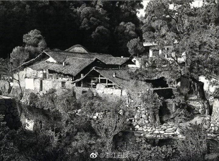 The National Zoo Is Expecting A Baby Elephant — Here's Why It Could Be A Mammoth Feat