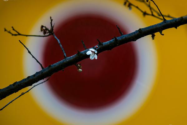 South Korea moves to tighten stablecoin rules with a bank-led model