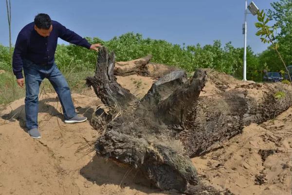 XRP breaks above major resistance level