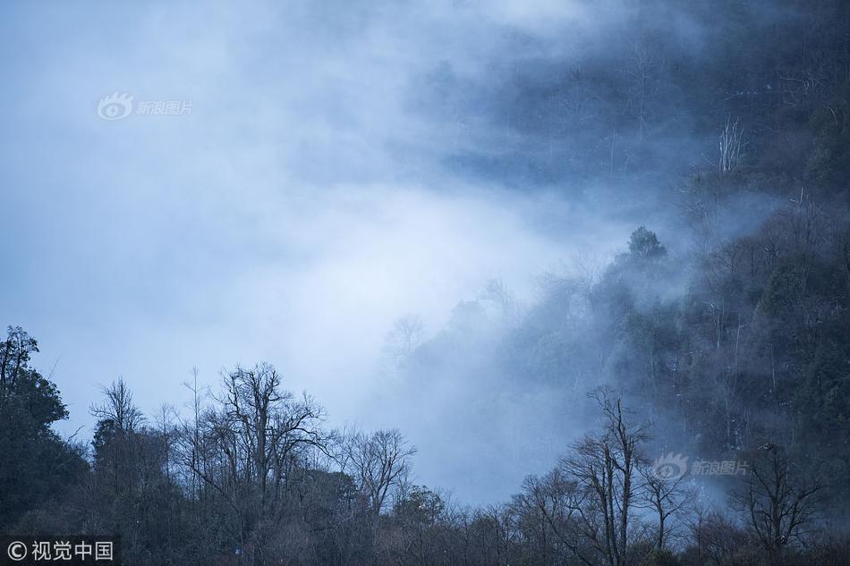 Altcoins update: Dogecoin and Injective signal recoveries as Ethereum eyes $4,000